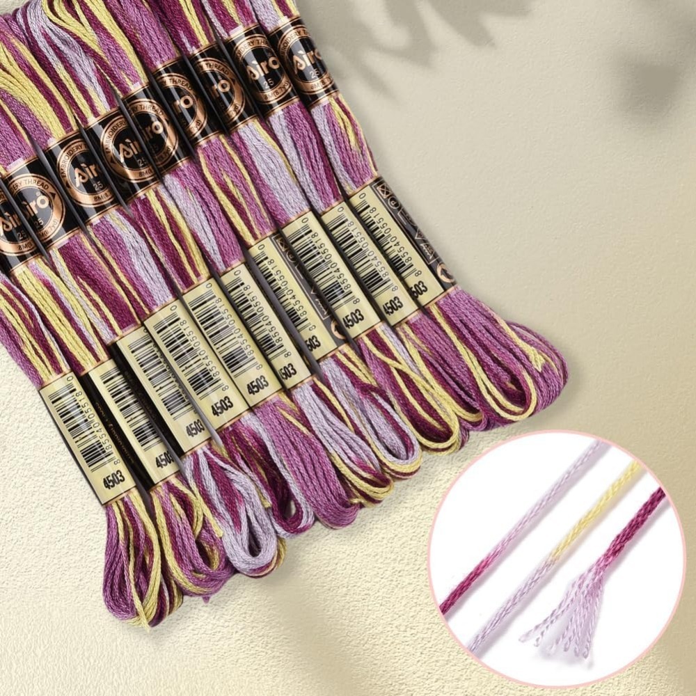 6 Strands Purple Variegated Em - Embroidery Kit Set review and price